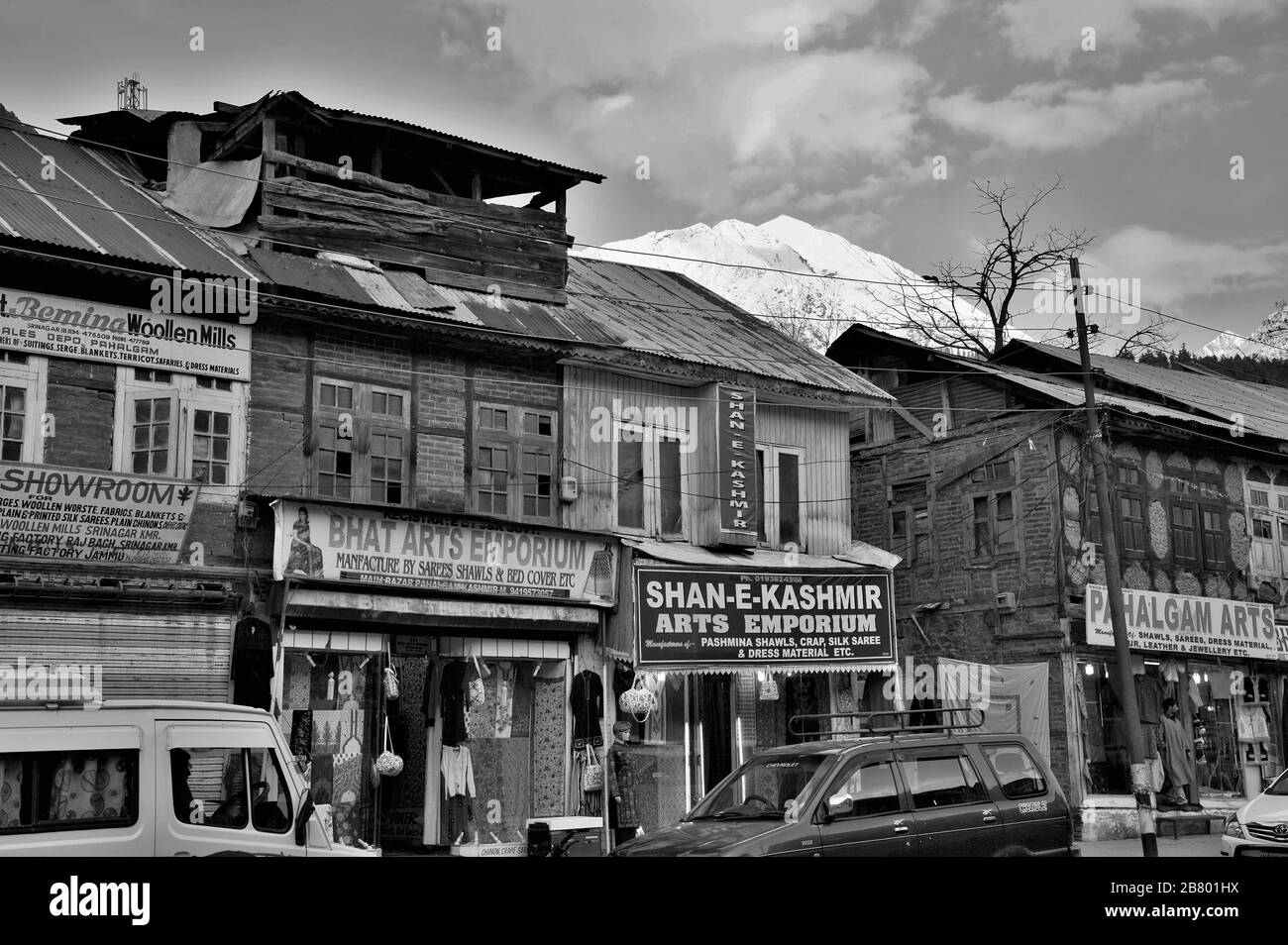 Arbres stériles, Pahalgam, Cachemire, Jammu-et-Cachemire, Inde, Asie Banque D'Images Arbres stériles, Pahalgam, Cachemire, Jammu-et-Cachemire, Inde, Asie Banque D'Images