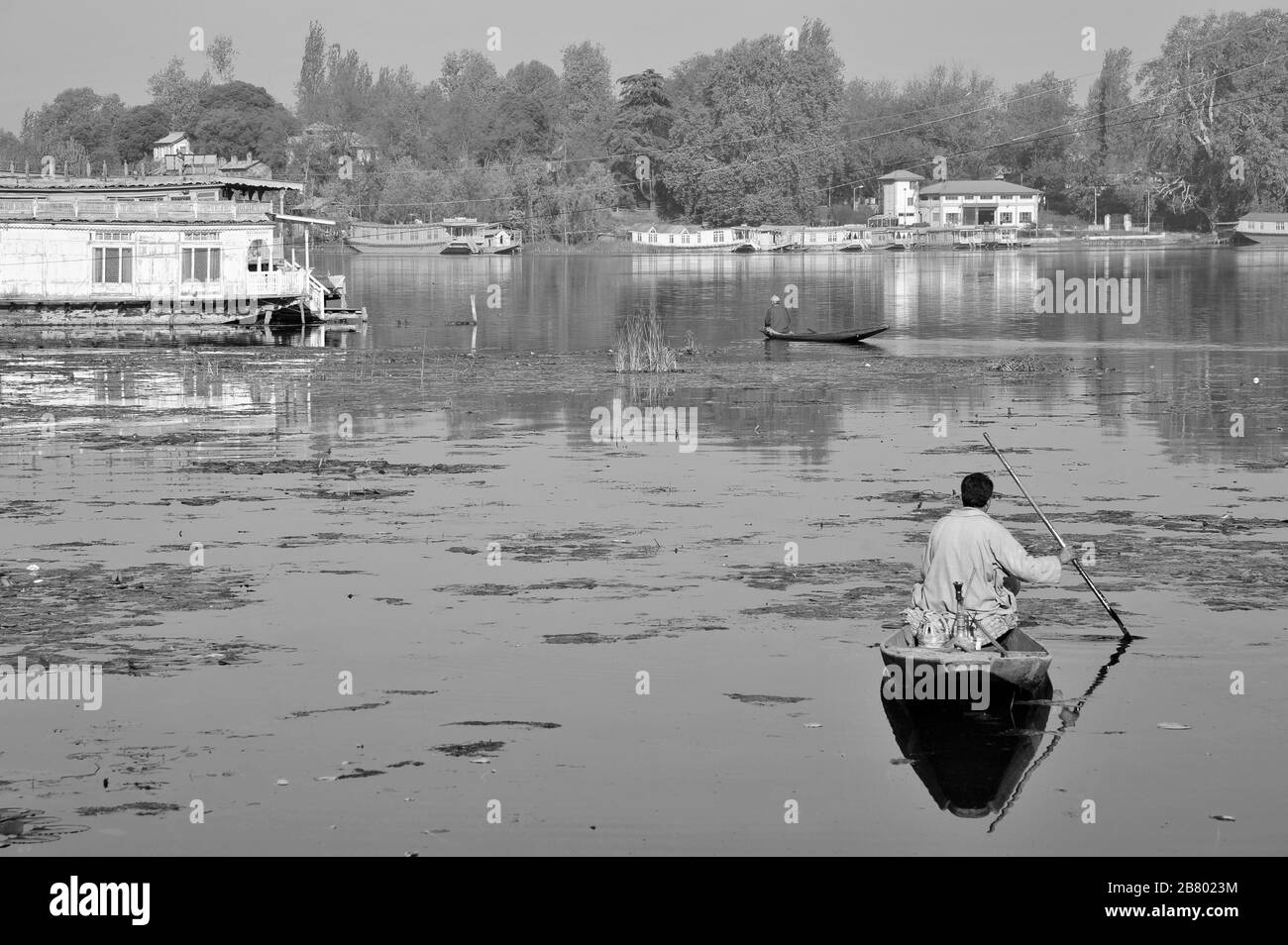 Bateau à pédales Kashmiri, lac Nagin, lac Dal, Srinagar, Cachemire, Jammu-et-Cachemire, Inde, Asie Banque D'Images