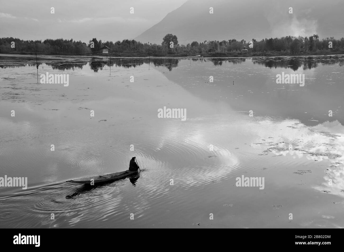 Bateau à pédales Kashmiri MAN, lac Nagin, lac Dal, Srinagar, Cachemire, Jammu-et-Cachemire, Inde, Asie Banque D'Images