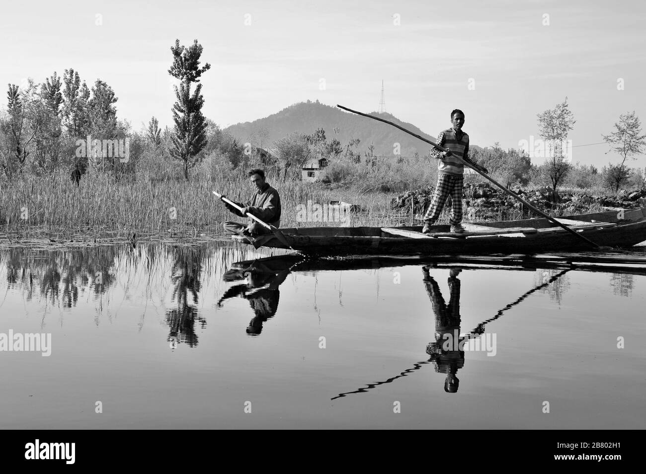 Bateau à pédales Kashmiri pour hommes, lac Nagin, lac Dal, Srinagar, Cachemire, Jammu-et-Cachemire, Inde, Asie Banque D'Images