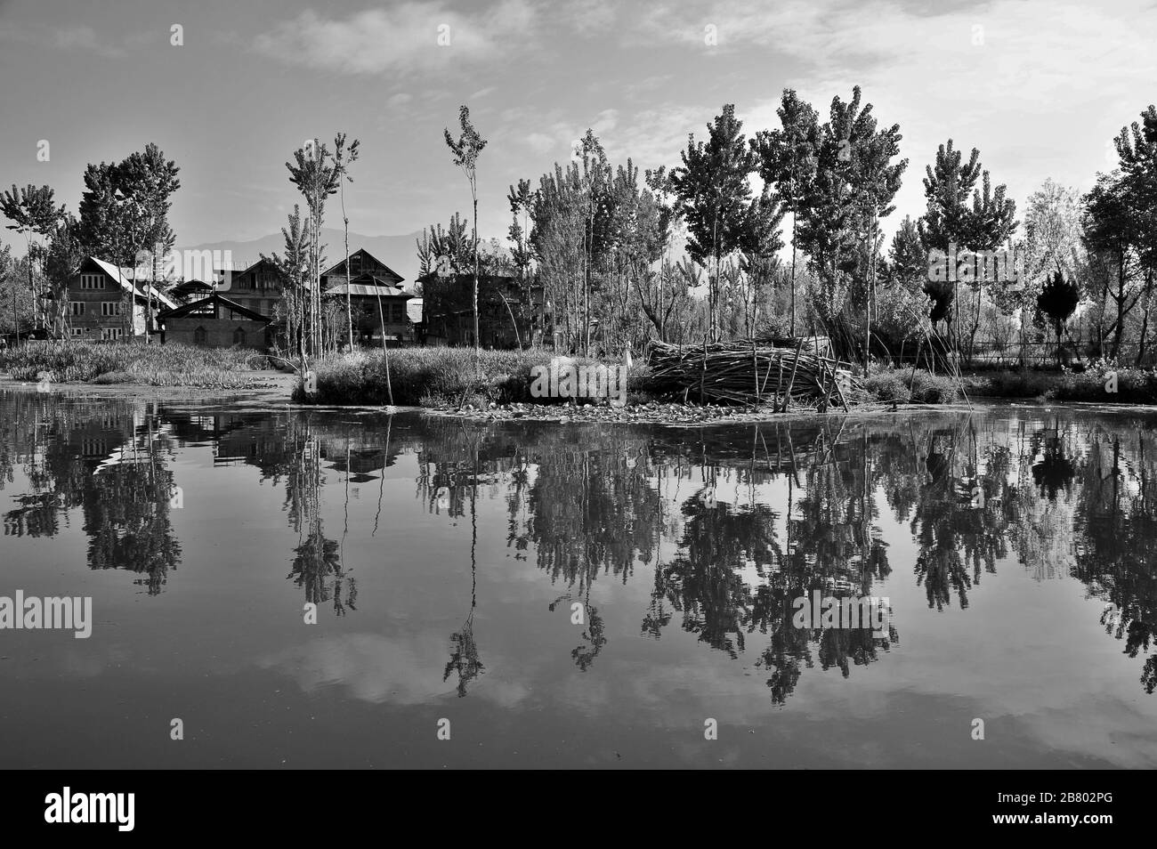Maisons, Lac Nagin, Lac Dal, Srinagar, Cachemire, Jammu-et-Cachemire, Inde, Asie Banque D'Images Maisons, Lac Nagin, Lac Dal, Srinagar, Cachemire, Jammu-et-Cachemire, Inde, Asie Banque D'Images