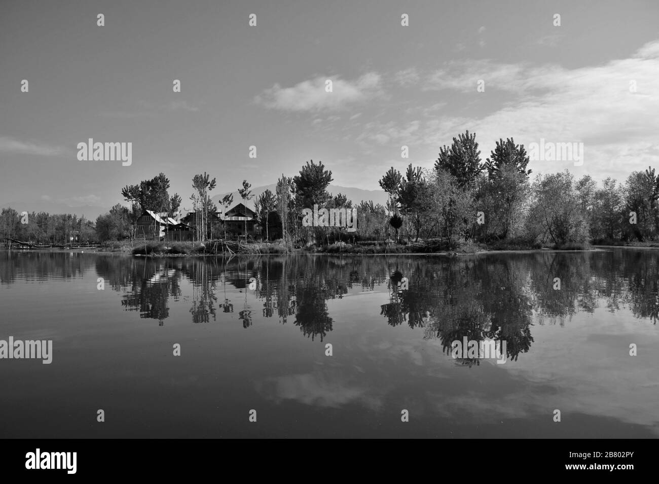 Maisons, Lac Nagin, Lac Dal, Srinagar, Cachemire, Jammu-et-Cachemire, Inde, Asie Banque D'Images Maisons, Lac Nagin, Lac Dal, Srinagar, Cachemire, Jammu-et-Cachemire, Inde, Asie Banque D'Images