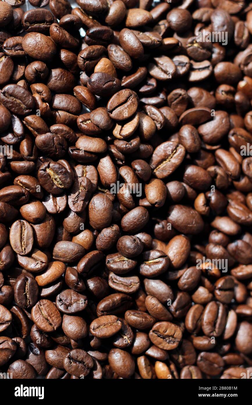 Gros plan de grains de café frais rôtis. Faire de l'espresso. Banque D'Images