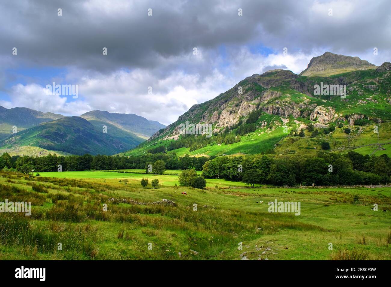 Vallée de Langdale, dans le district de English Lake, Cumbria. Banque D'Images