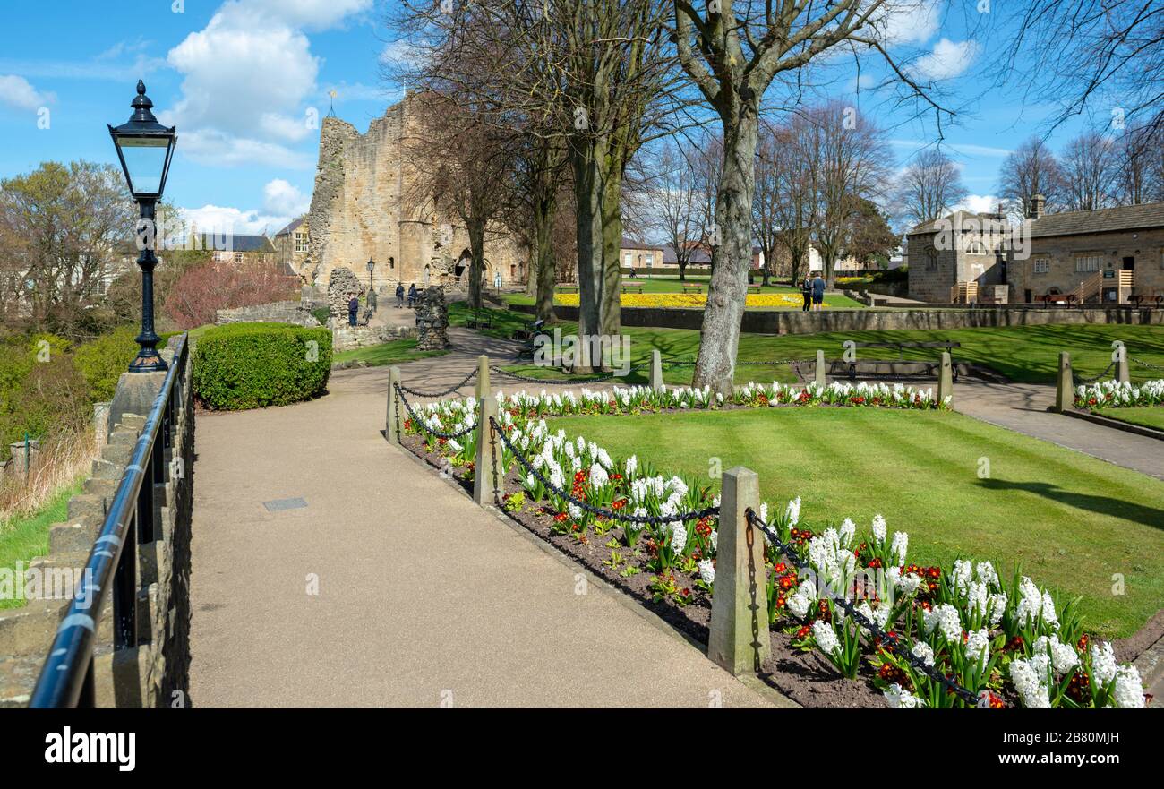 Vue printanière sur les jardins et garder le château de Knaresborough, autrefois forteresse médiévale, aujourd'hui une attraction touristique populaire dans cette ville du Yorkshire Banque D'Images