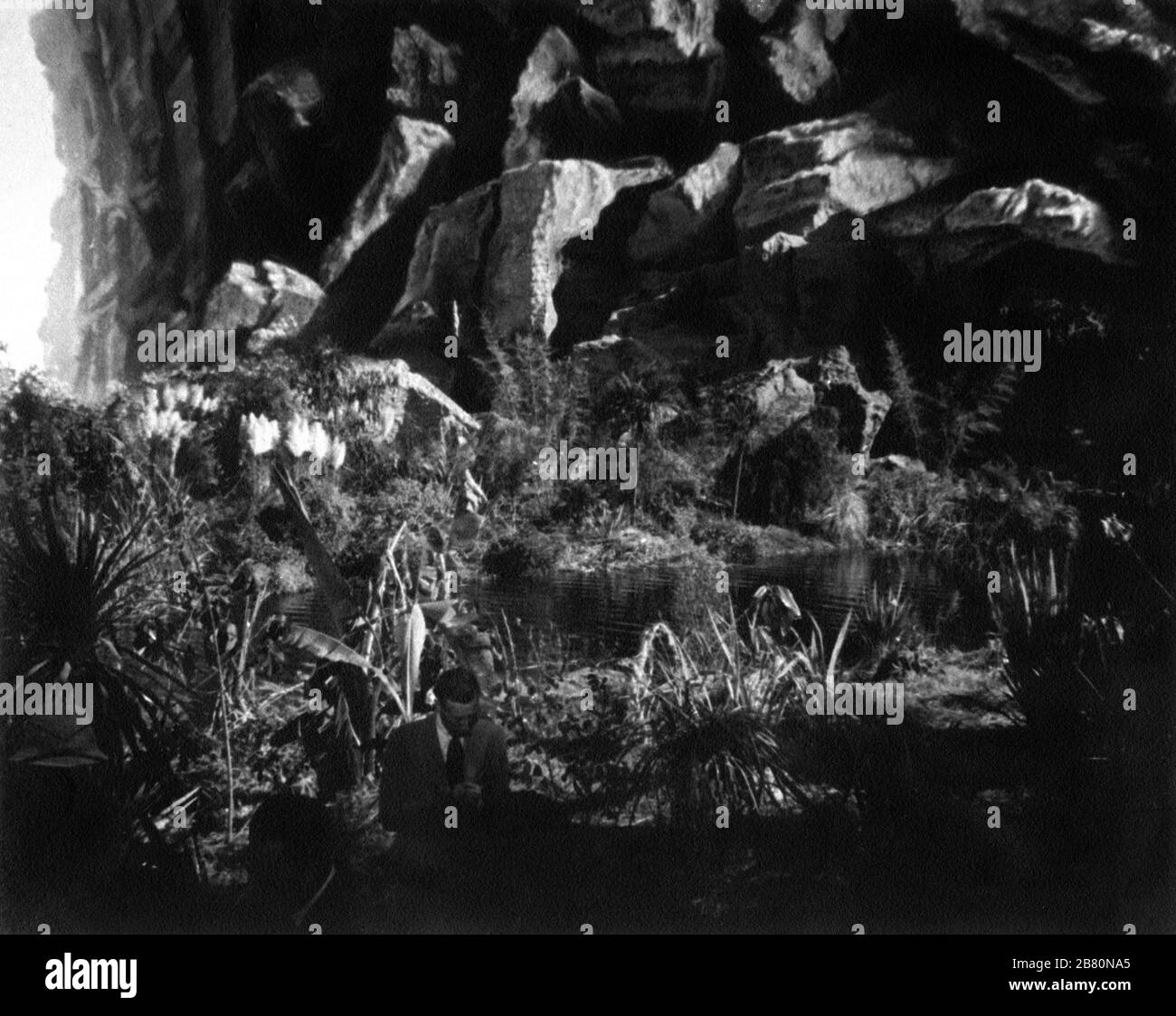 NEWCOMBE Special Effects Reference photo for background art Effects by Warren Newcombe for TARZAN AND HIS MATE 1934 Directors CEDRIC GIBBONS and JACK CONWAY characters EDGAR RICE BURROUGHS photo by TED ALLAN Metro Goldwyn Mayer Banque D'Images