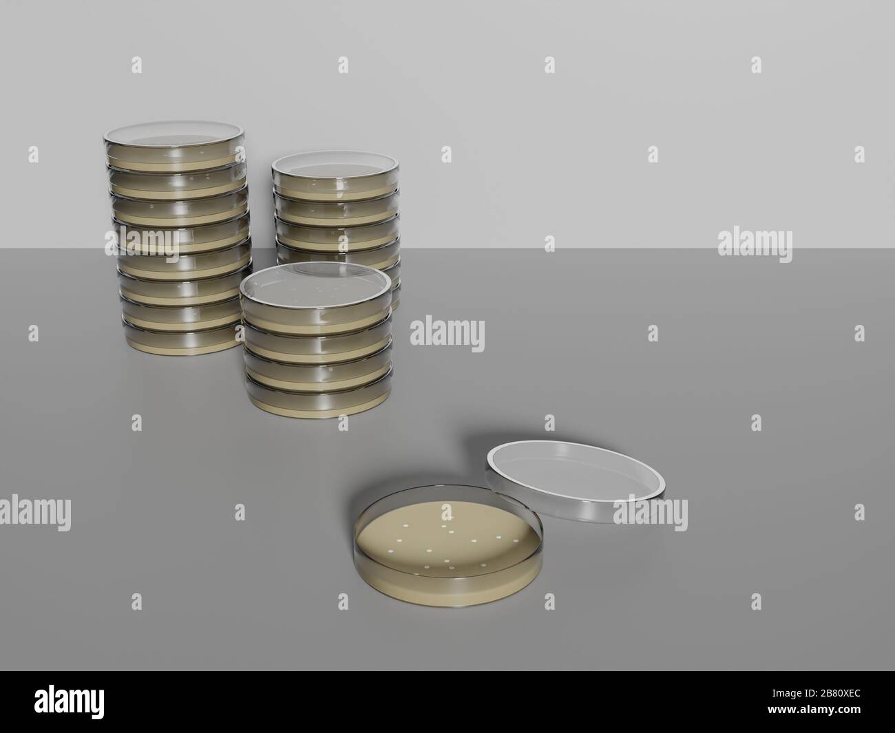 Les boîtes de Petri sont empilées et une est ouverte avec des colonies. Conception tridimensionnelle. Concept de laboratoire et de recherche. Banque D'Images