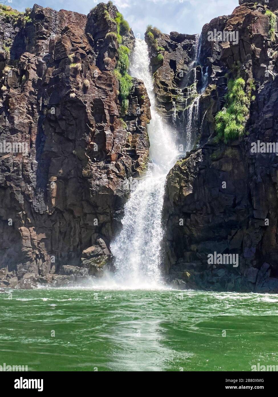 Parc national des chutes d'Iguazu; chutes d'eau, nature, puissant, Iguazu; Iguacu; Amérique du Sud, Brésil; été Banque D'Images