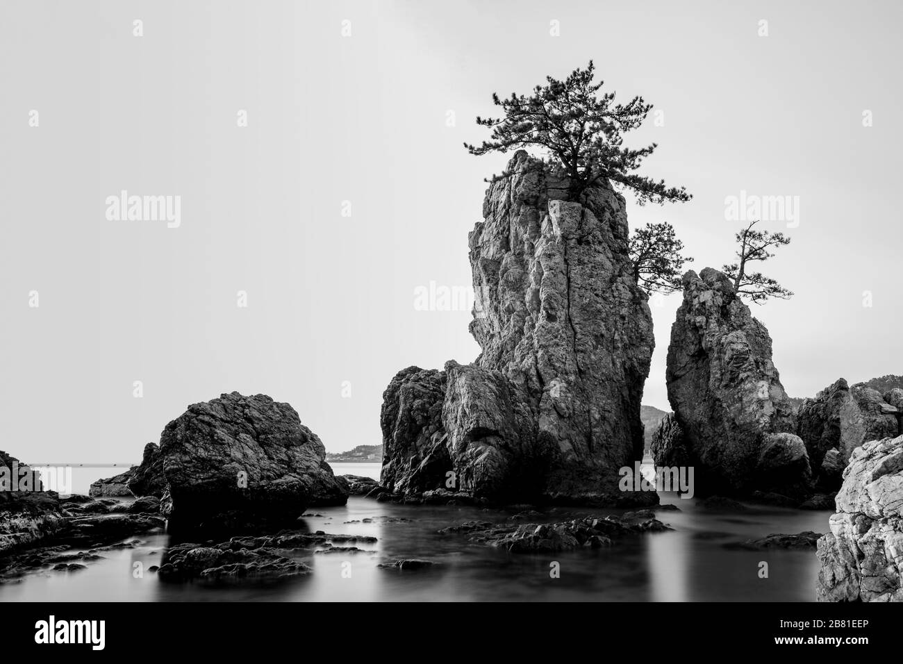 Photo en noir et blanc des roches avec des pins sur la côte de la mer, beau paysage, longue exposition, côte est de la Corée Banque D'Images