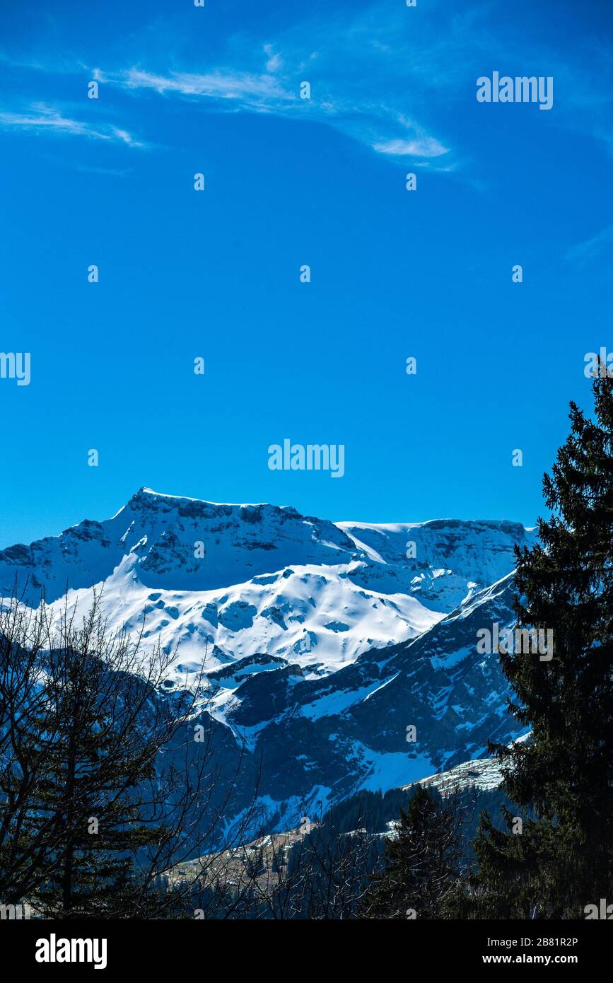 Adelboden, Schweiz, Aussicht auf den Wildstrubel, schneearmer Winter, heimelige Holzhäuser, ruhiger Tag, fröhlicher Tag Banque D'Images