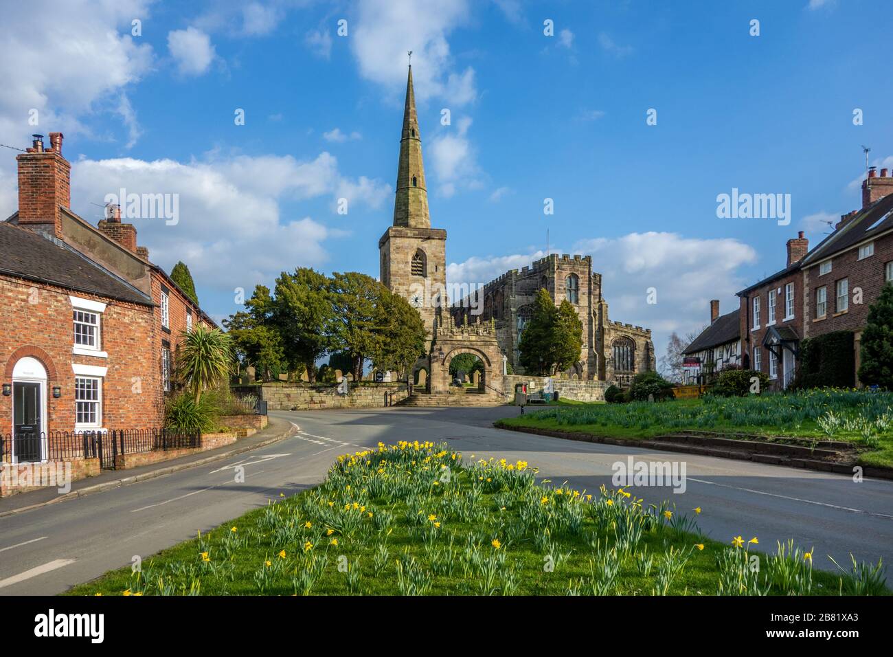 Église St Mary's à Astbury près de Congleton Cheshire Angleterre avec le vert du village et des jonquilles en fleur au printemps avec le ciel bleu Banque D'Images