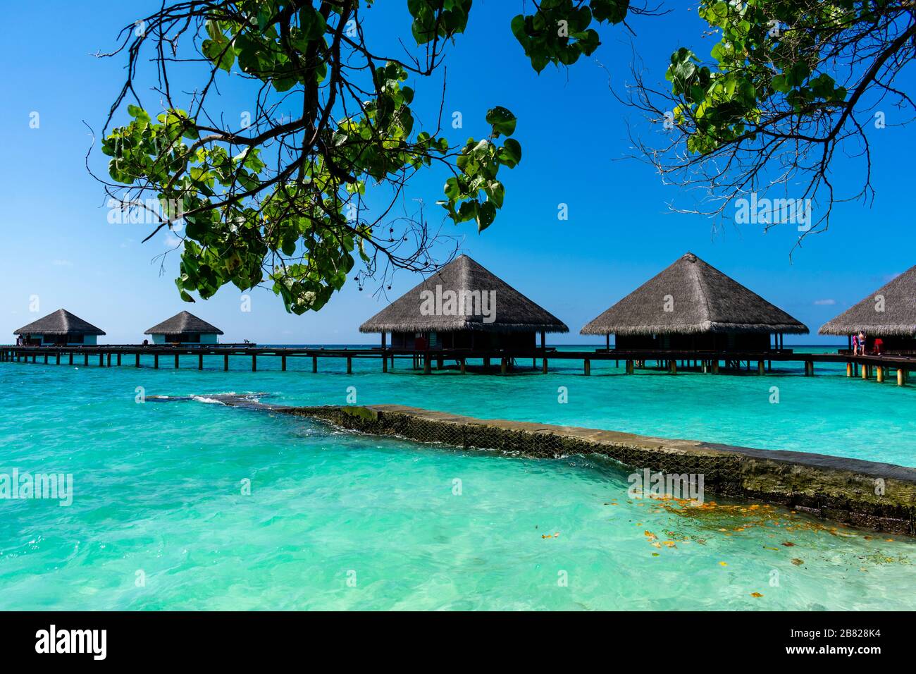 Maldives, Kaafu atoll - 27 décembre 2019 - le paradis aux Maldives Banque D'Images