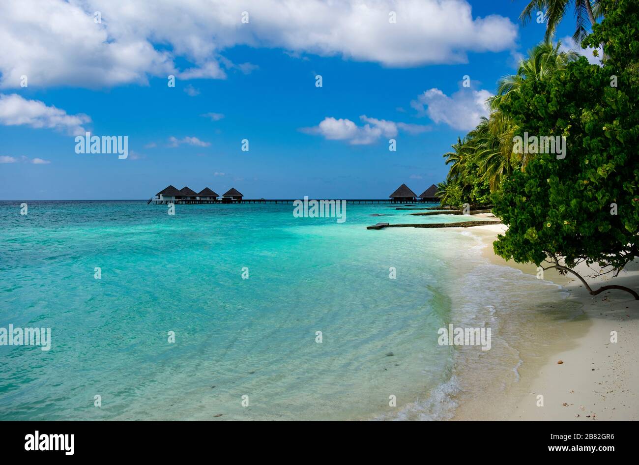 Maldives, Kaafu atoll - 27 décembre 2019 - végétation et mer des Maldives Banque D'Images