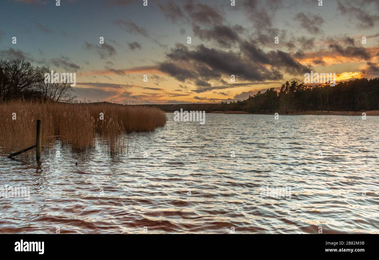 Petit étang de Frensham construit pour stocker des poissons pour l'abbaye de waverly à proximité il est maintenant géré par la confiance nationale et est un refuge pour la faune et de bonnes promenades Banque D'Images