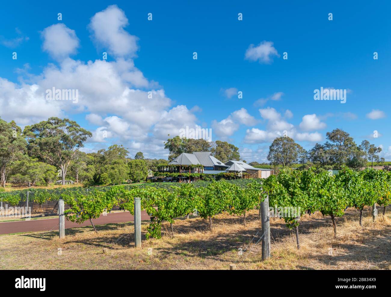 La Vasse Felix Vineyard and Winery, région viticole de Margaret River, Australie occidentale, Australie Banque D'Images