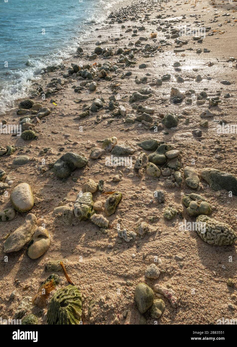 Rocky Beach, Grand Cayman Island Banque D'Images