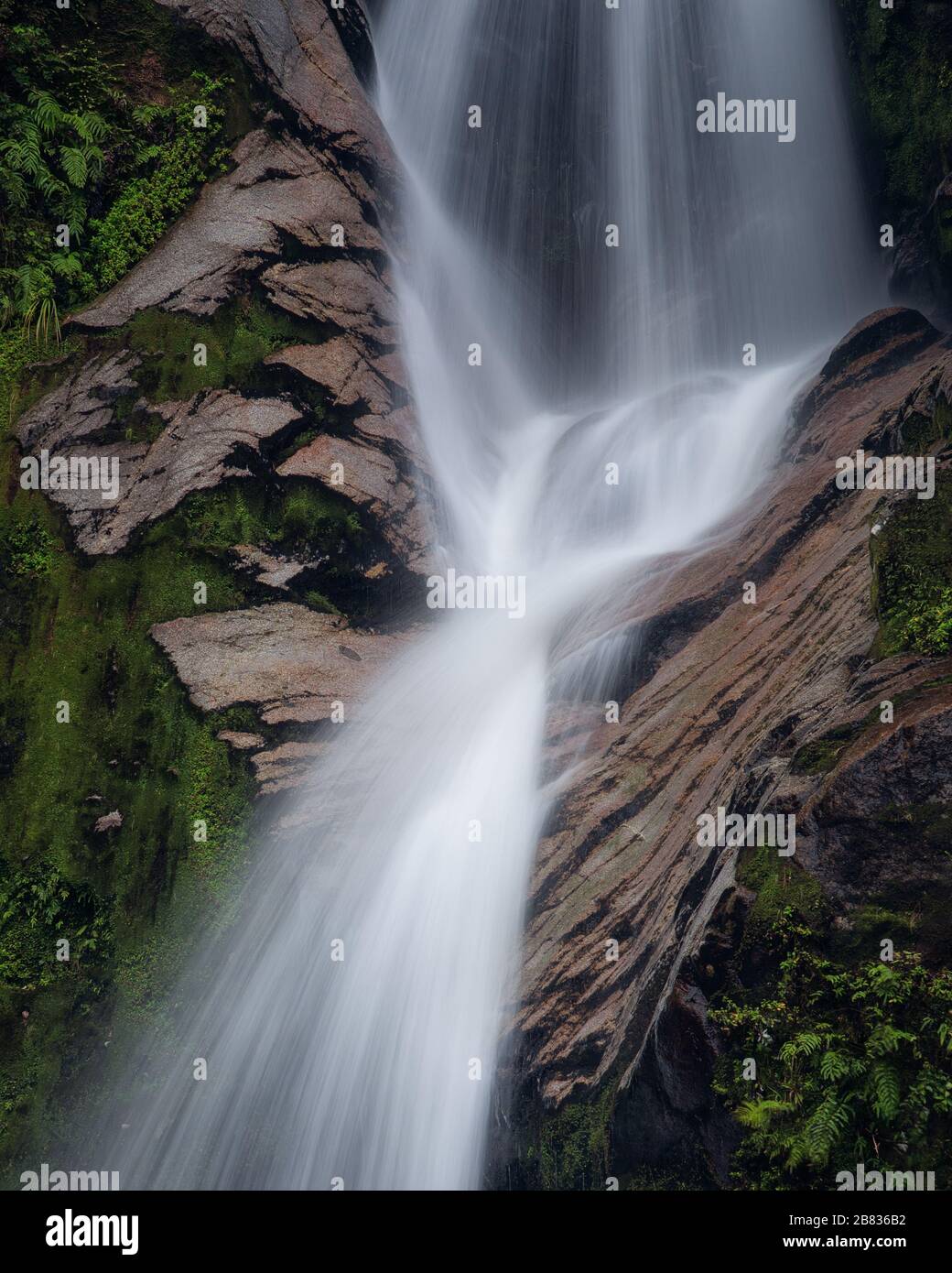 Eau coulant sur une cascade dans la forêt Banque D'Images