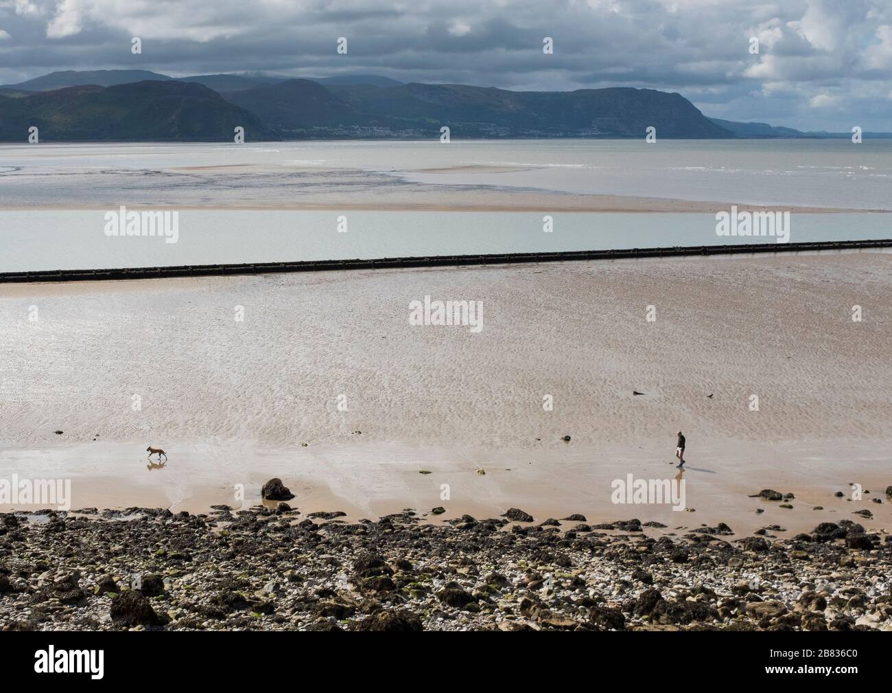 Un homme marchant son chien sur la rive nord, Llandudno, avec Snowdonia comme toile de fond. Banque D'Images