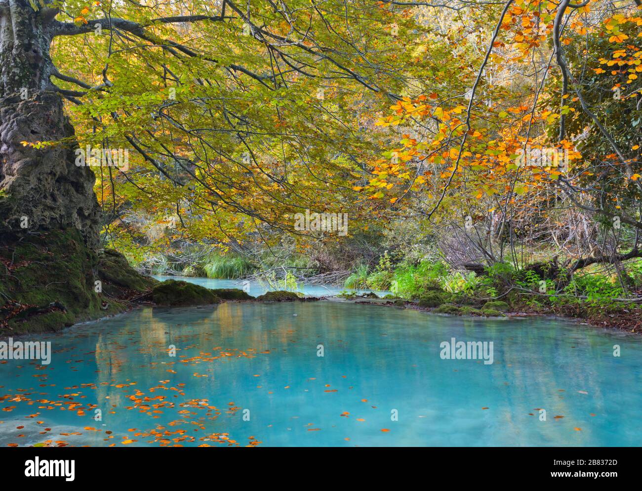Forêt d'automne et lac turquoise. Navarre, Espagne. Banque D'Images