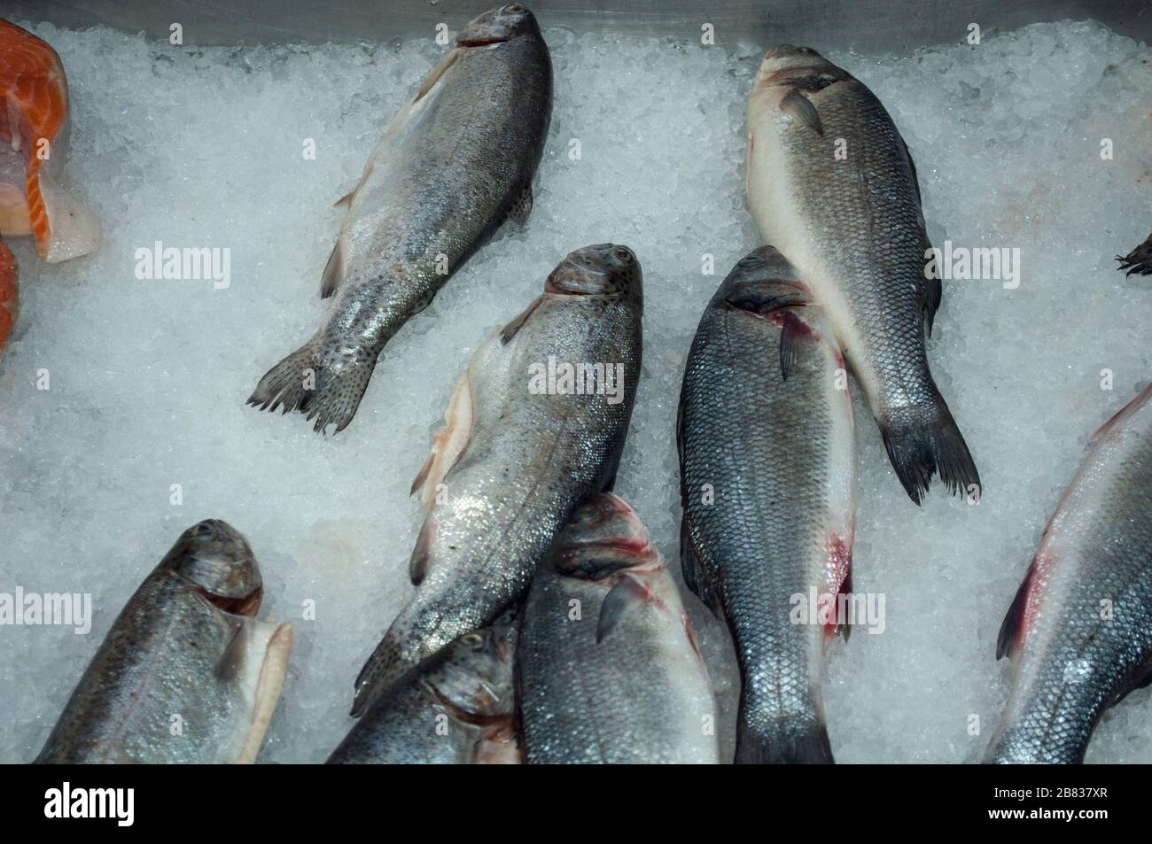 Du saumon frais congelé et de la truite sur la glace au comptoir du magasin. Du côté vous pouvez voir des steaks de saumon. Vue de dessus Banque D'Images