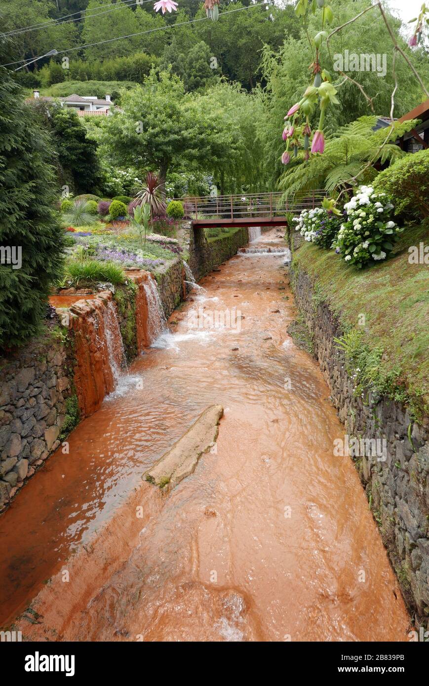Eaux riches en fer de la source chaude de Furnas sur l'île de São Miguel dans l'archipel des Açores Banque D'Images