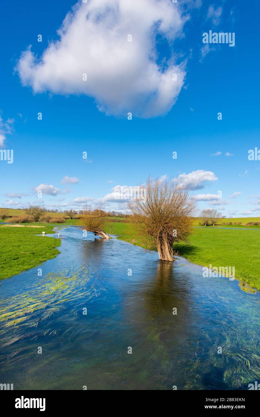 La rivière Till en inondation à Winterbourne Stoke, Wiltshire, Royaume-Uni. Un winterbourne est un ruisseau qui coule en hiver, mais il est souvent sec en été. Banque D'Images