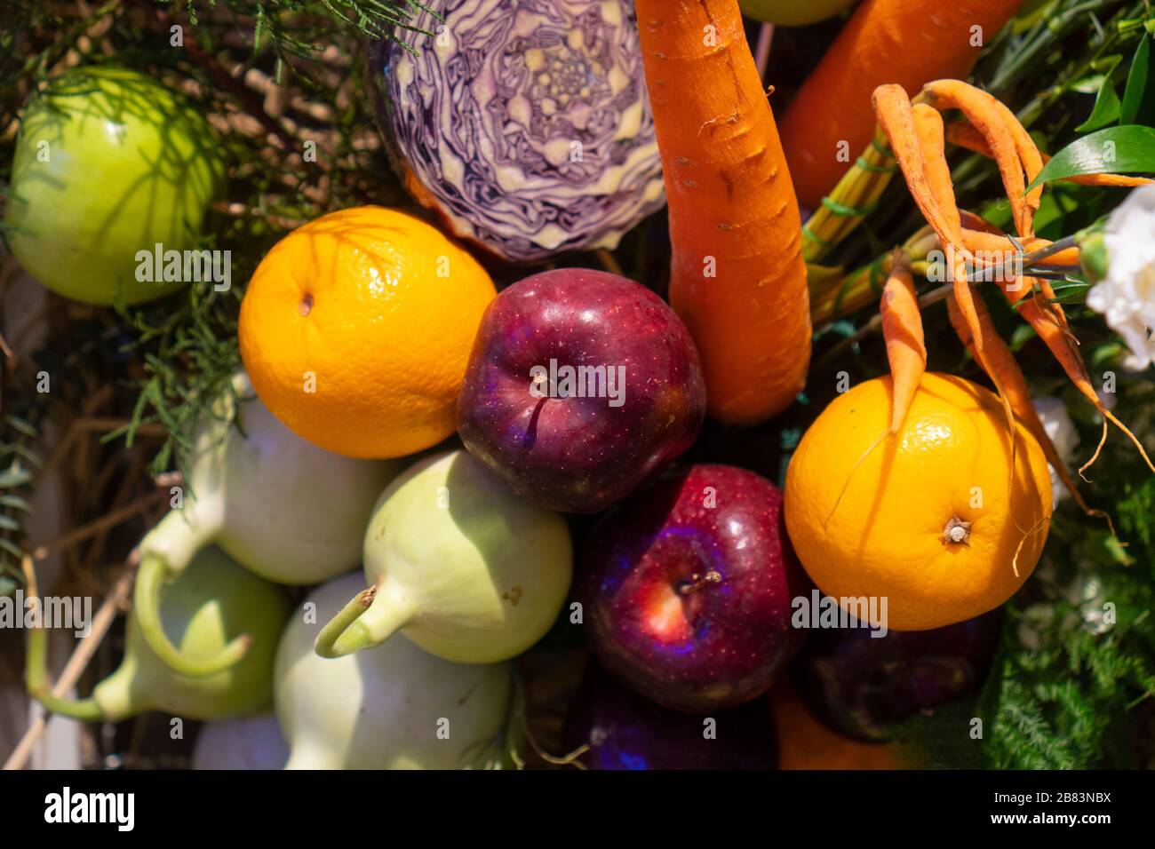 Divers types de fruits tropicaux sont placés de diverses façons. Banque D'Images