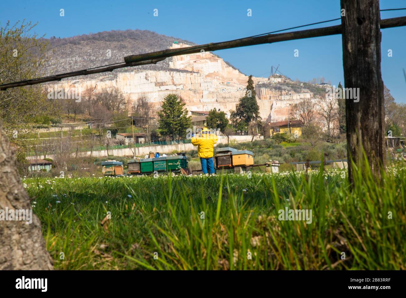 Le apiculteur vérifie le miel, en arrière-plan les grottes en marbre de Botticino Banque D'Images