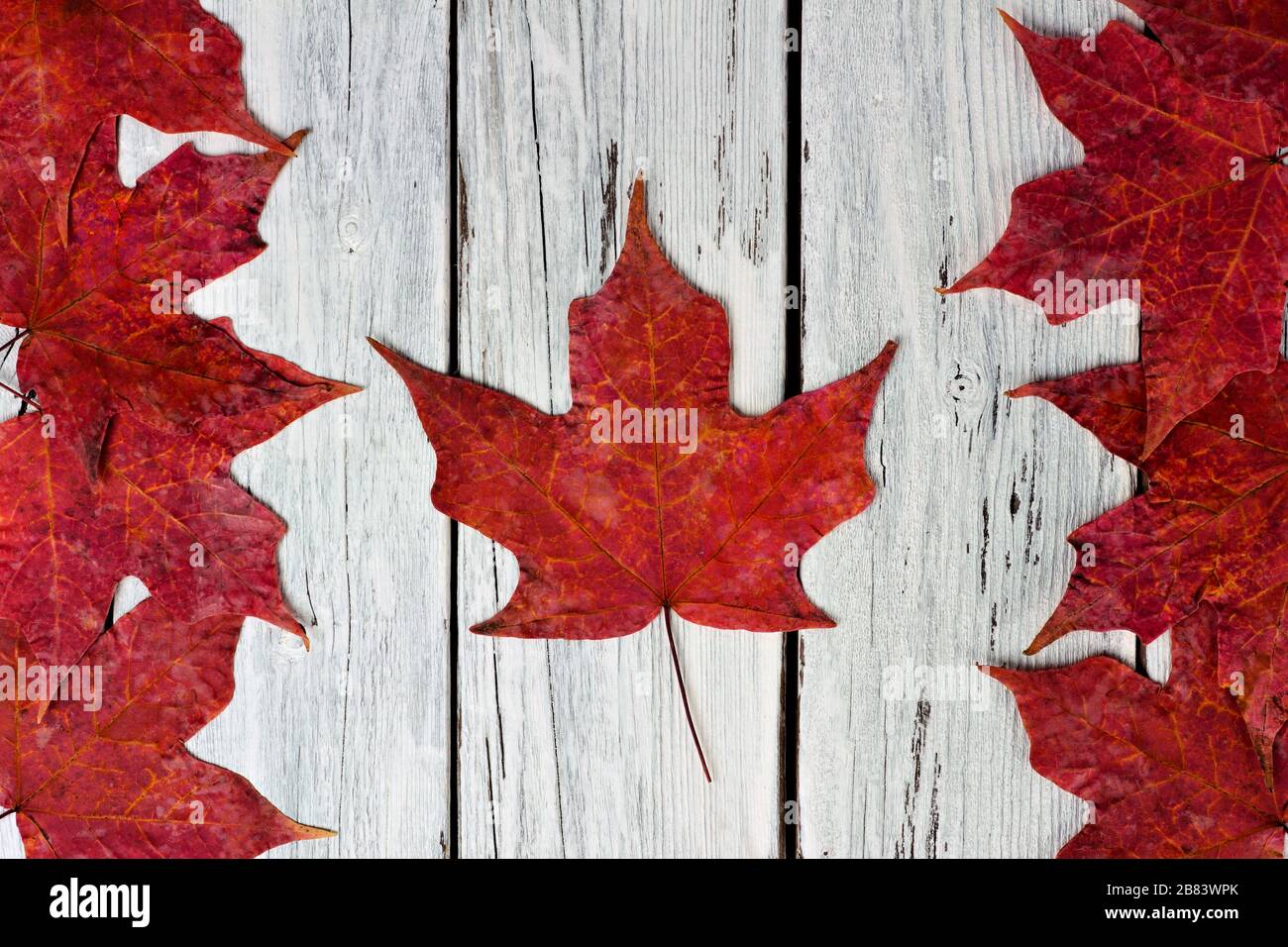 Drapeau canadien composé de feuilles d'érable rouge sur un fond de bois blanc éraillé Banque D'Images