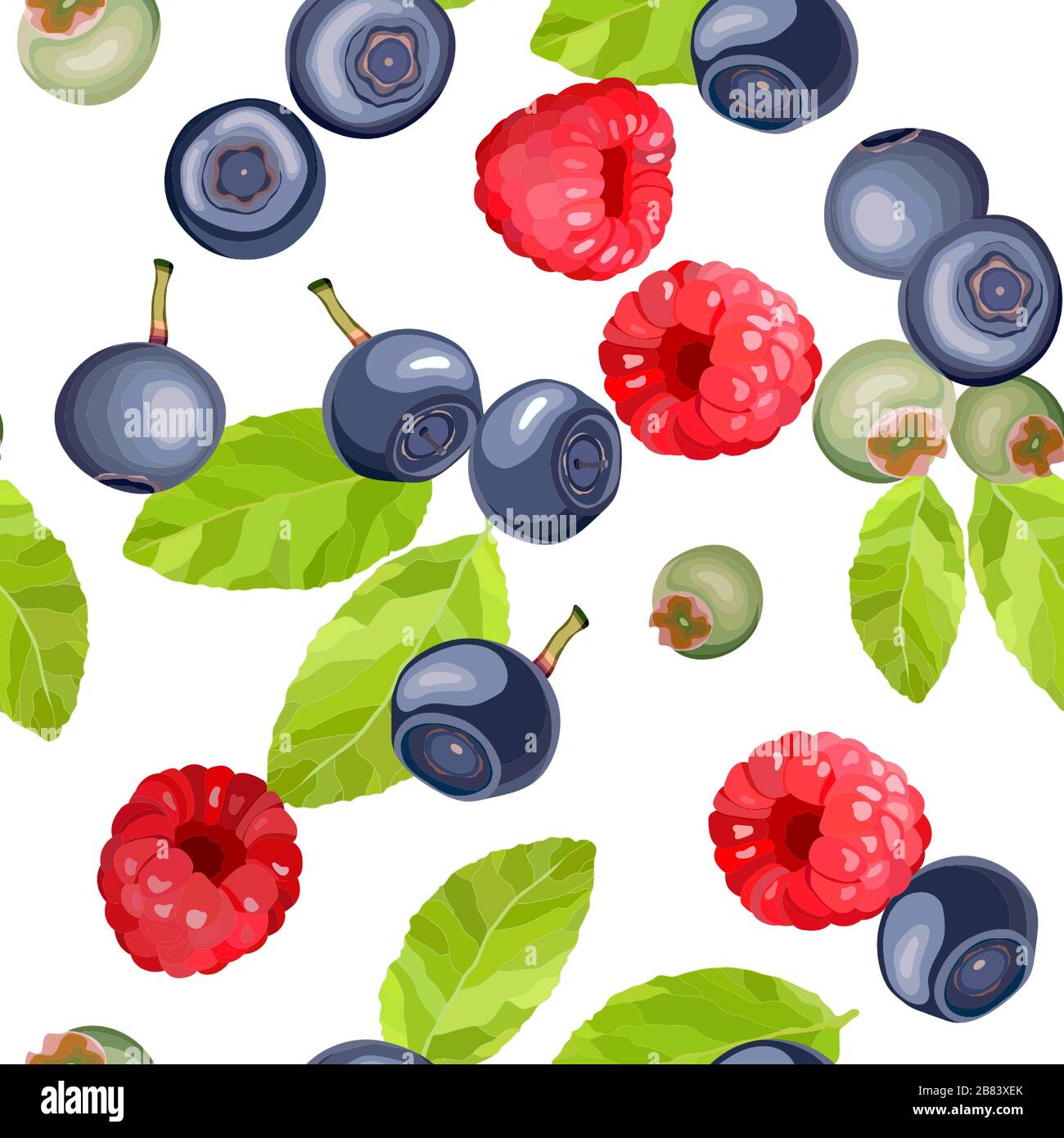 Bleuets et framboises, feuilles et baies sans couture Illustration de Vecteur