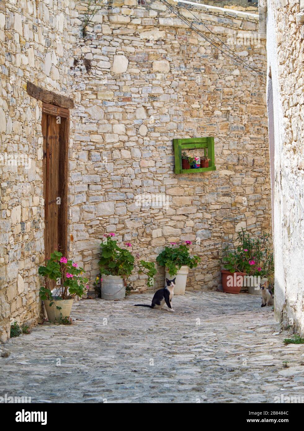 Le chat noir et blanc sur les étroites rues pavées du village de Pano Lefkara. Quartier de Larnaca. Chypre Banque D'Images
