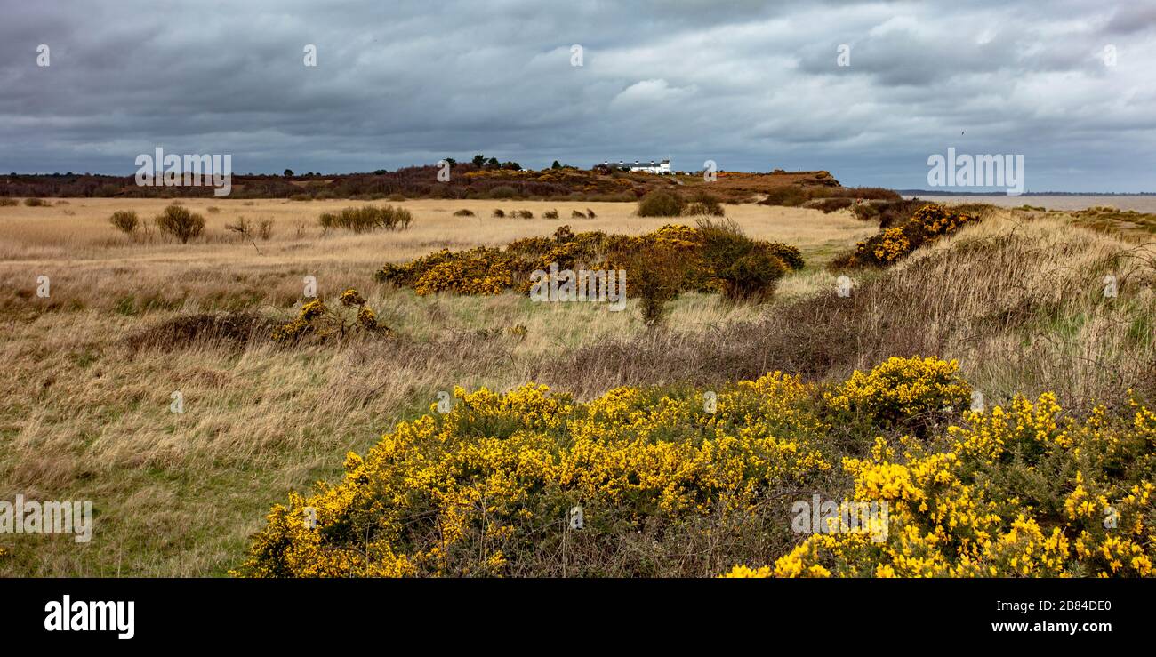 Les cottages de la Garde côtière Dunwich Heath Banque D'Images