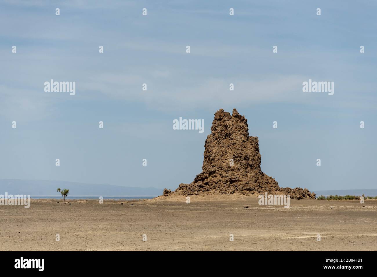 Afrique, Djibouti, Lac Abbe. Vue sur le paysage du lac Abbe. Un arbre est seul au milieu Banque D'Images