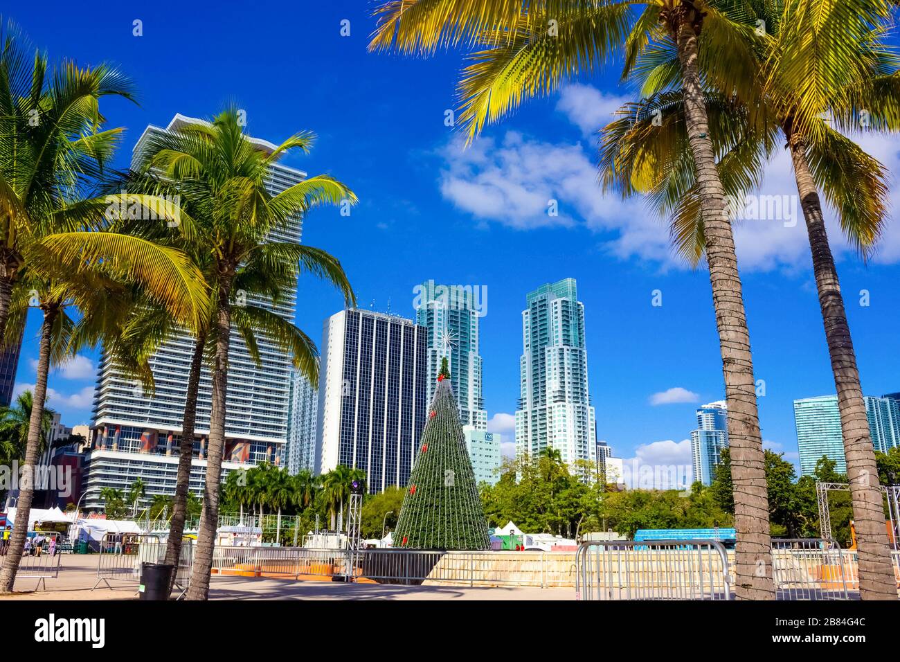Miami, États-Unis - 30 novembre 2019 : les personnes se reposant au Bayfront Park avec des palmiers à Miami Banque D'Images