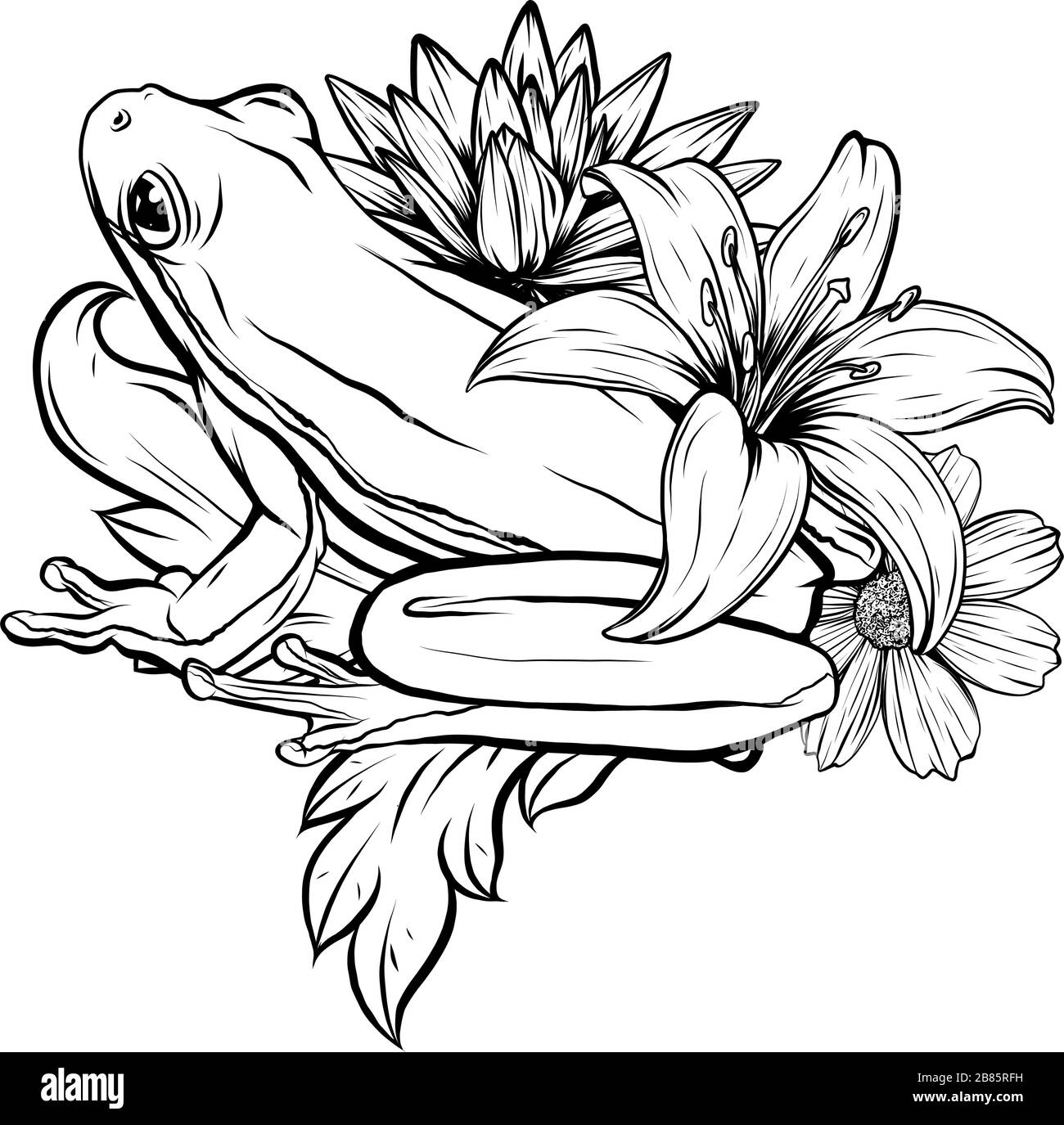 Grenouille à gribouille ornée dessinée à la main noire et blanche dans un style graphique. Illustration vectorielle avec ornement décoratif floral Illustration de Vecteur
