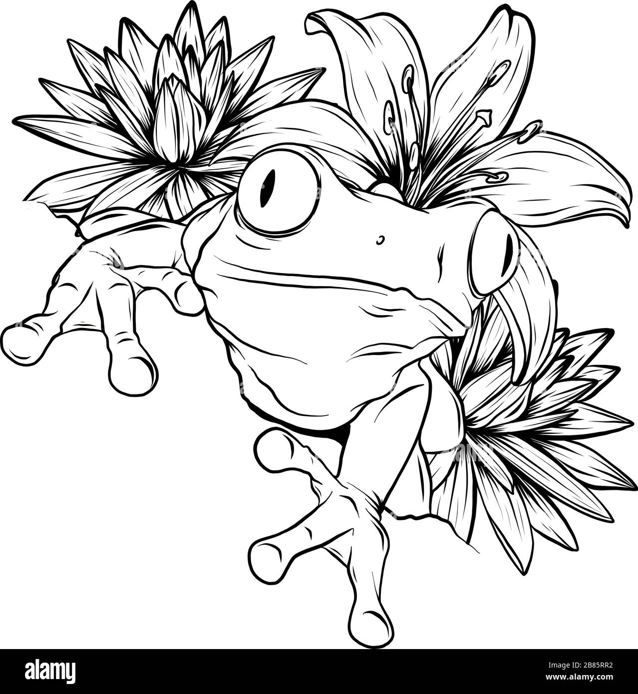 Grenouille à gribouille ornée dessinée à la main noire et blanche dans un style graphique. Illustration vectorielle avec ornement décoratif floral Illustration de Vecteur