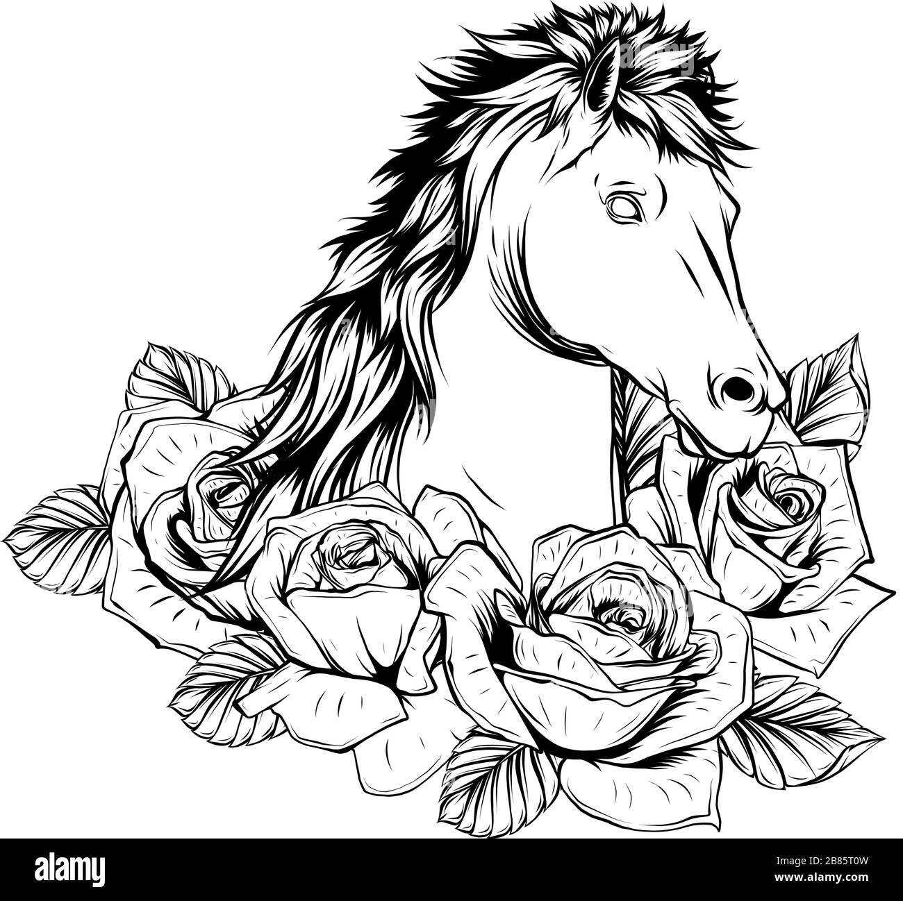 Beau cheval avec des roses. Illustration vectorielle dessinée Illustration de Vecteur