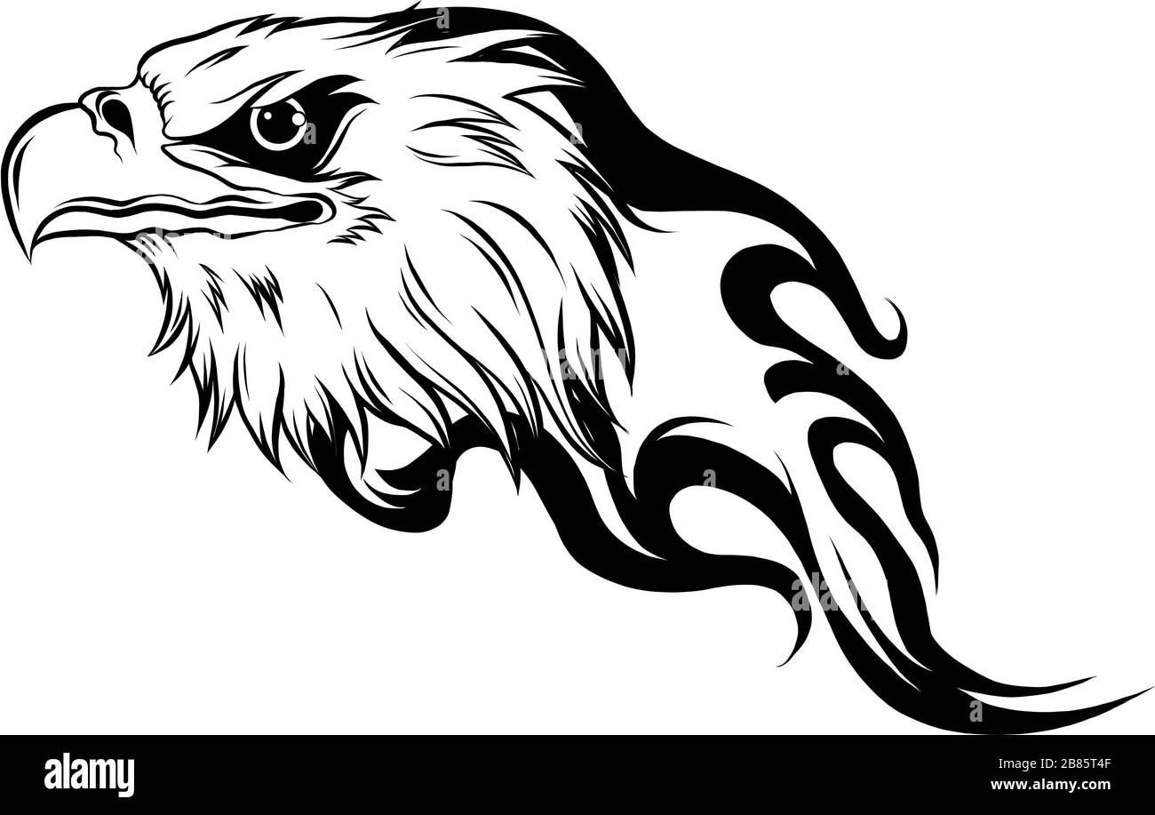 Tête aigle en style contour. Illustration vectorielle Illustration de Vecteur
