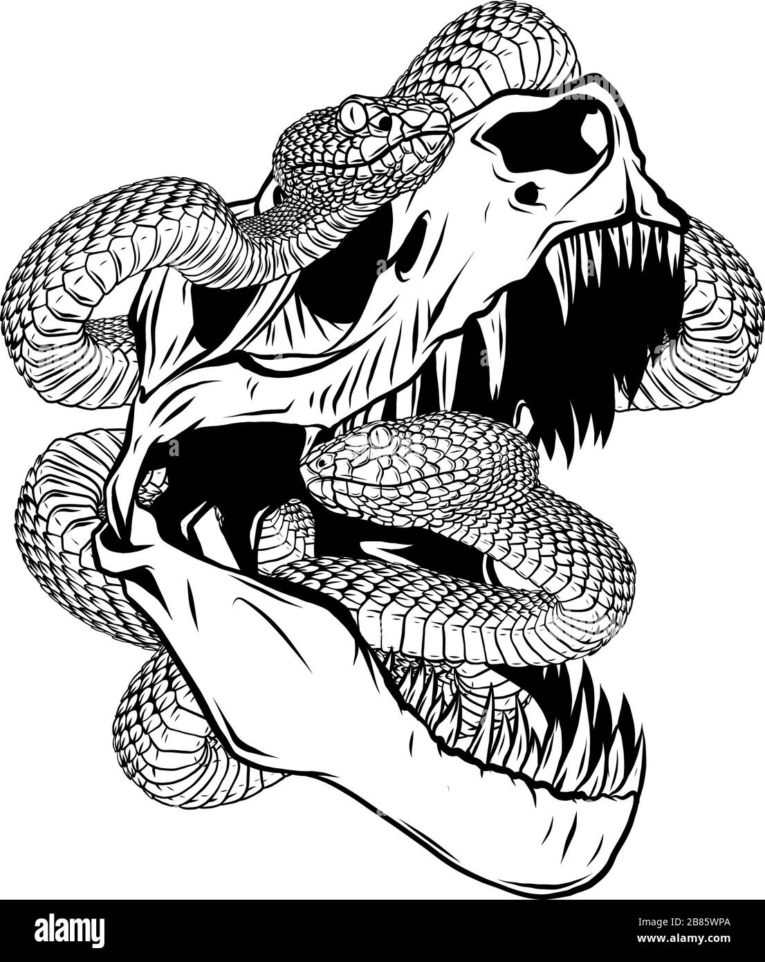 Crâne De Dinosaure. Dessin de T-Rex Skull avec serpent Illustration de Vecteur