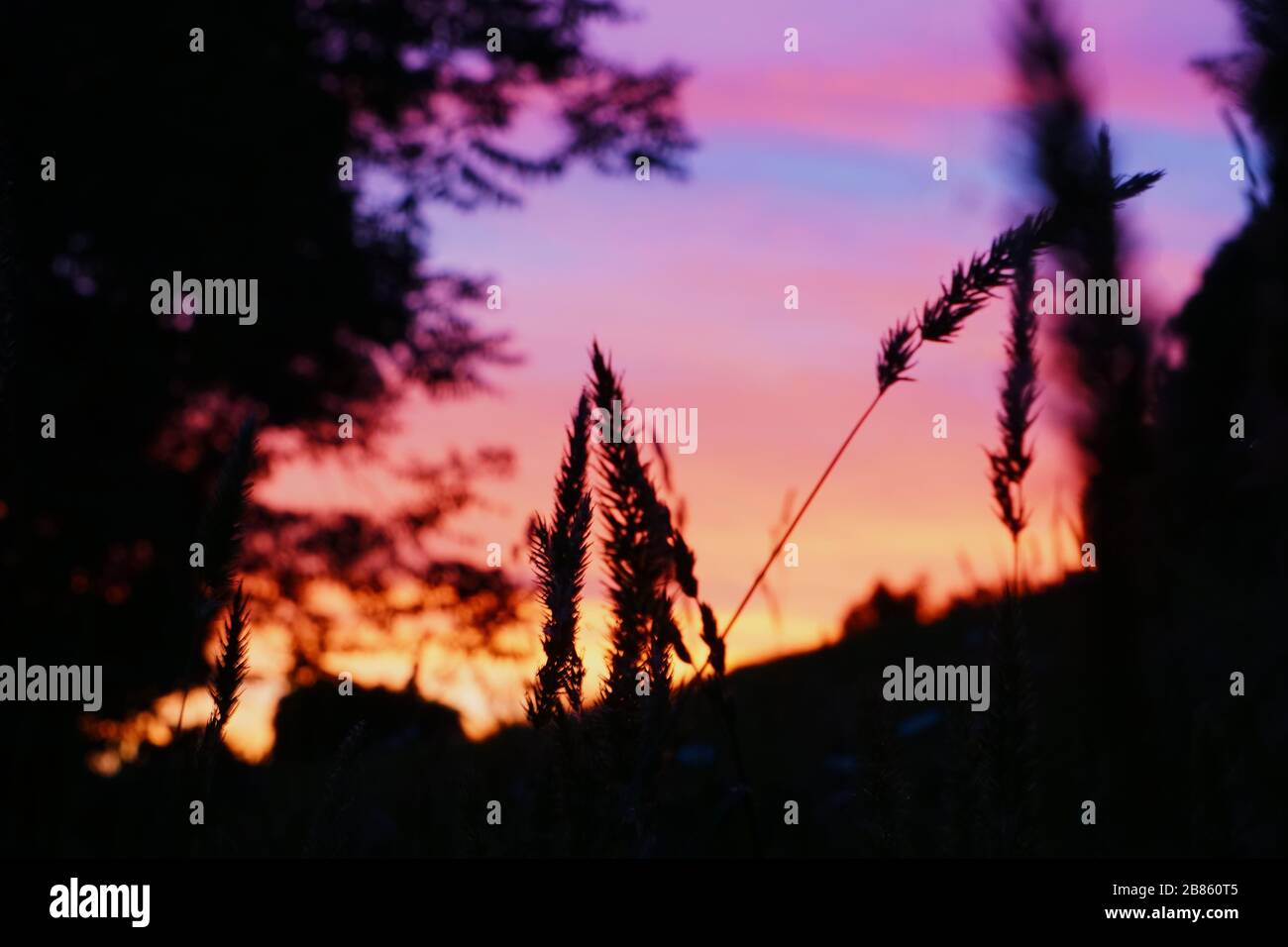 silhouette haute en couleur Banque D'Images