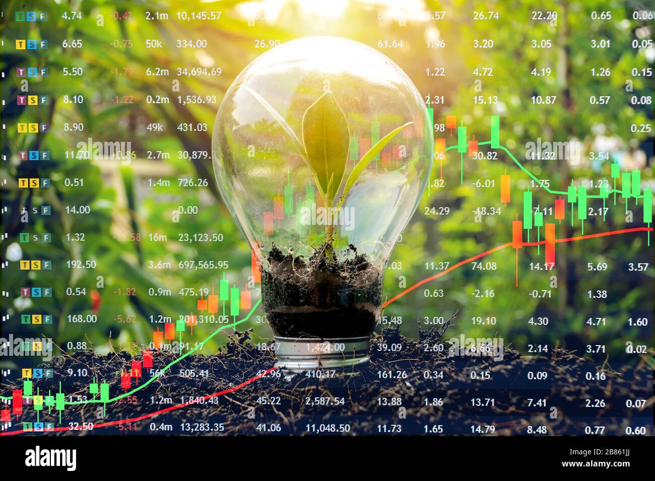 Gain et bénéfices du concept d'investissement sur les marchés boursiers grâce à des graphiques et des chiffres de chandeliers. Arbres qui poussent dans des ampoules Banque D'Images