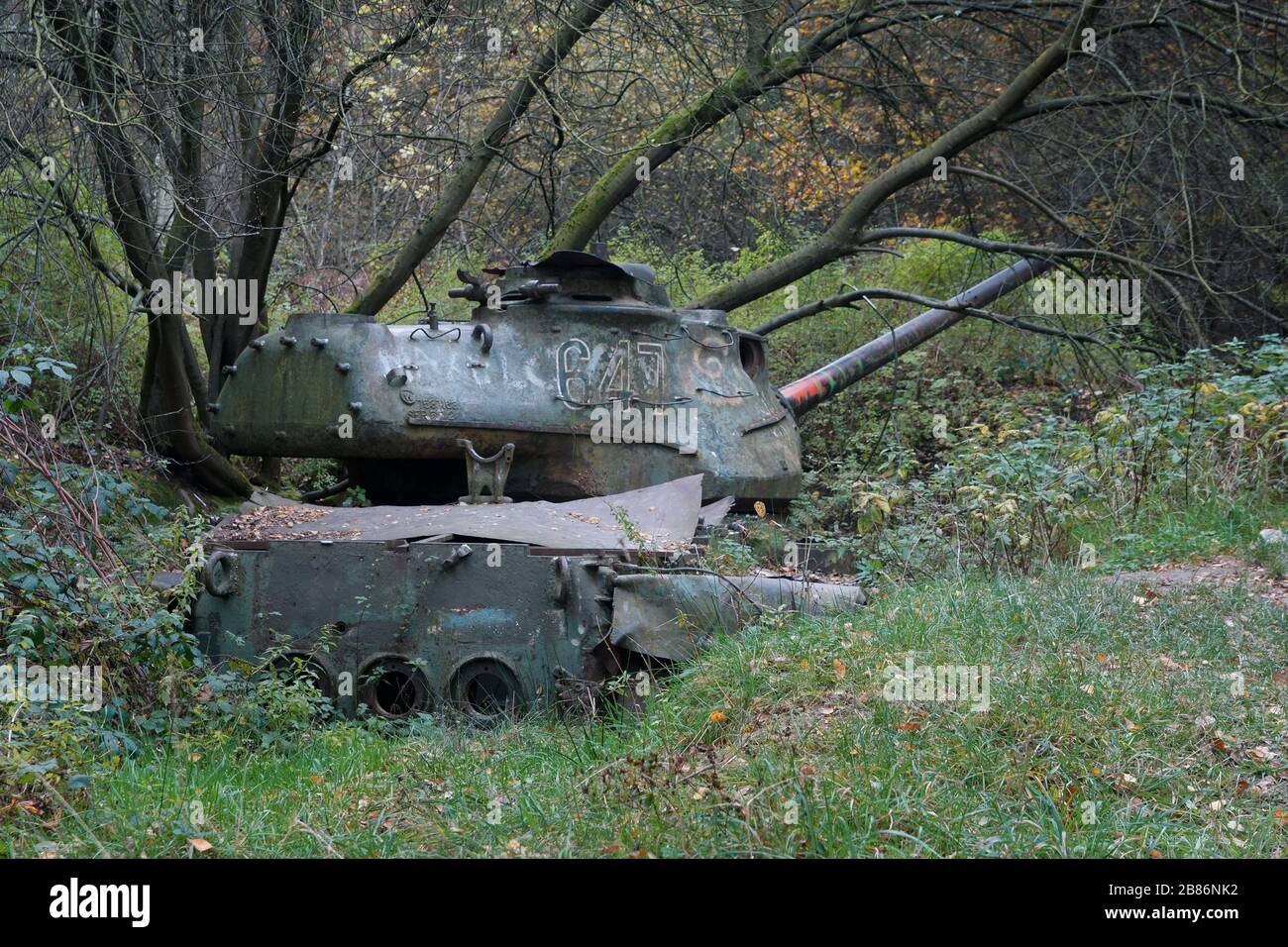 Panzerrack M47 Patton im Brander Wald / Aix-la-Chapelle / Allemagne Banque D'Images