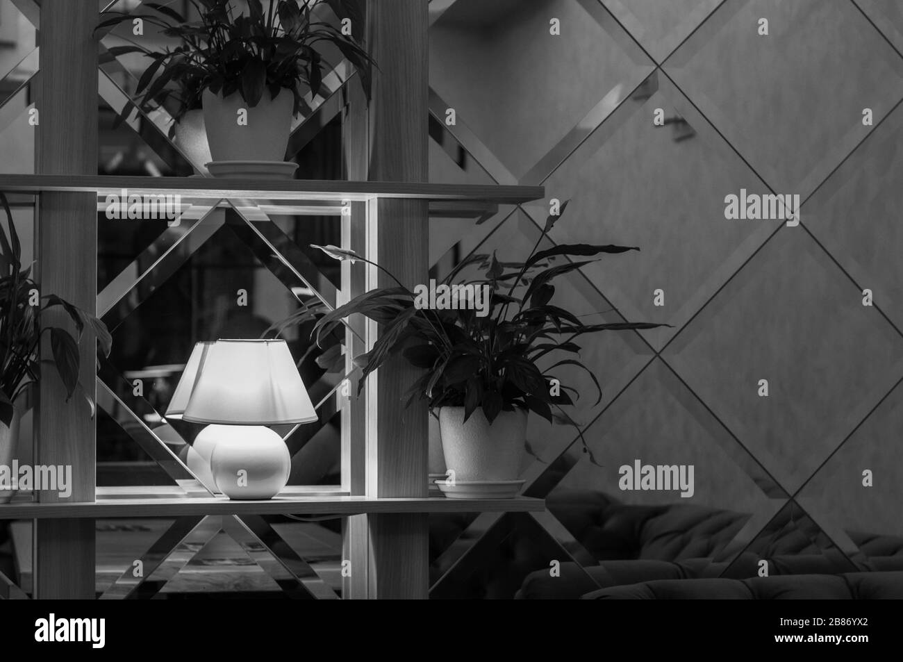 Photo de stock noir et blanc de l'intérieur moderne de la paroi miroir et de la lampe blanche sur étagère avec des plantes de ménage de feuillage luxuriant dans des pots de fleurs blanches. Banque D'Images