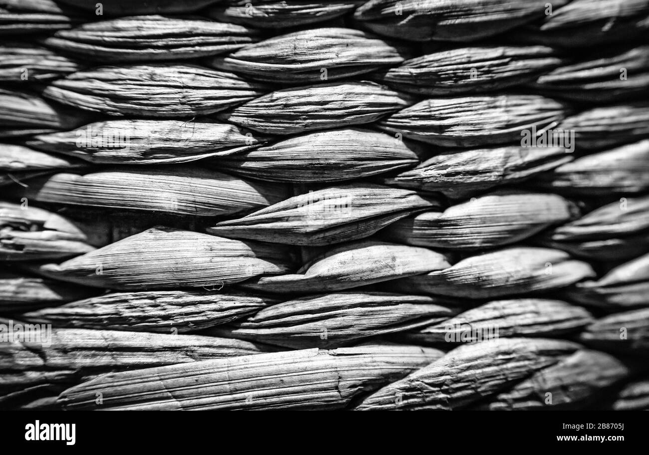 Gros plan détails des motifs ou des suites d'éléments répétés pour l'arrière-plan ou le fond, en couleur ou en noir et blanc. Banque D'Images