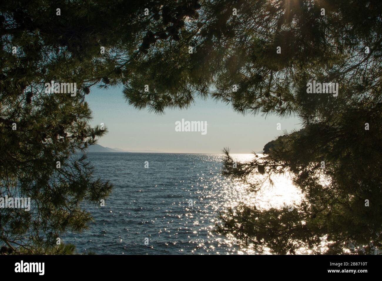 magnifique coucher de soleil sur la mer bleue calme vue à travers les pins Banque D'Images