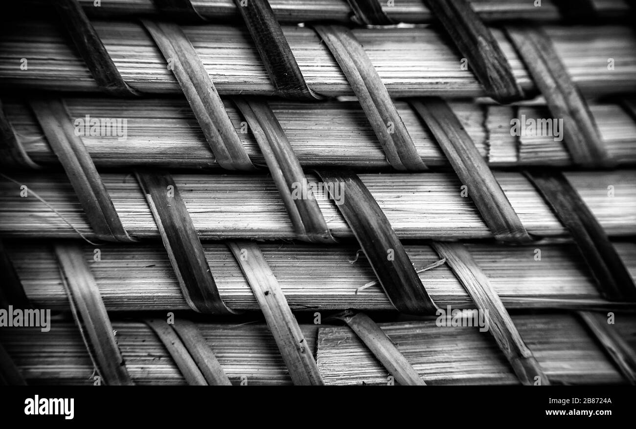 Gros plan détails des motifs ou des suites d'éléments répétés pour l'arrière-plan ou le fond, en couleur ou en noir et blanc. Banque D'Images