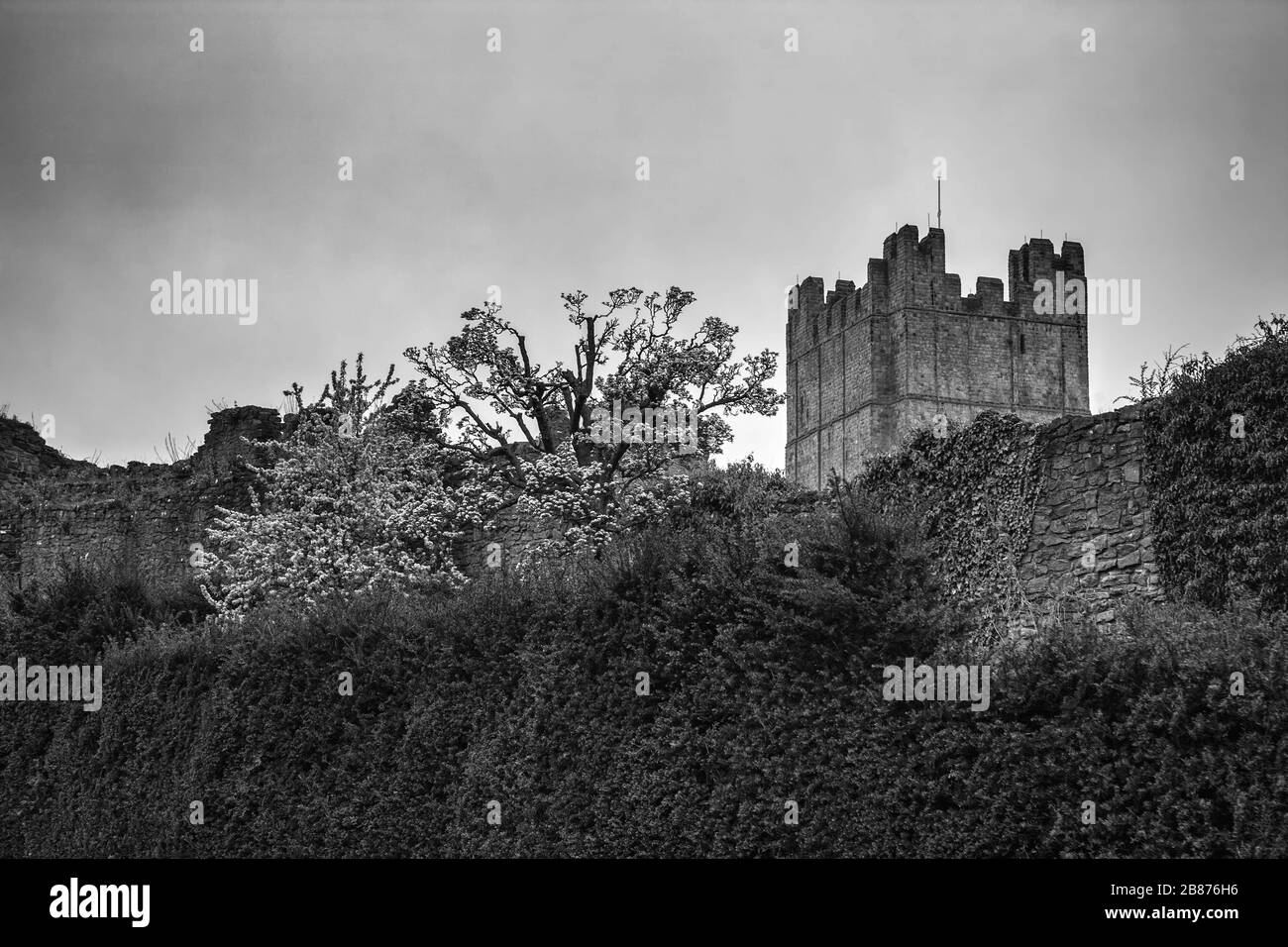 The Cockpit Garden and the Keep, Richmond Castle, North Yorkshire, Angleterre, Royaume-Uni. Version noir et blanc Banque D'Images