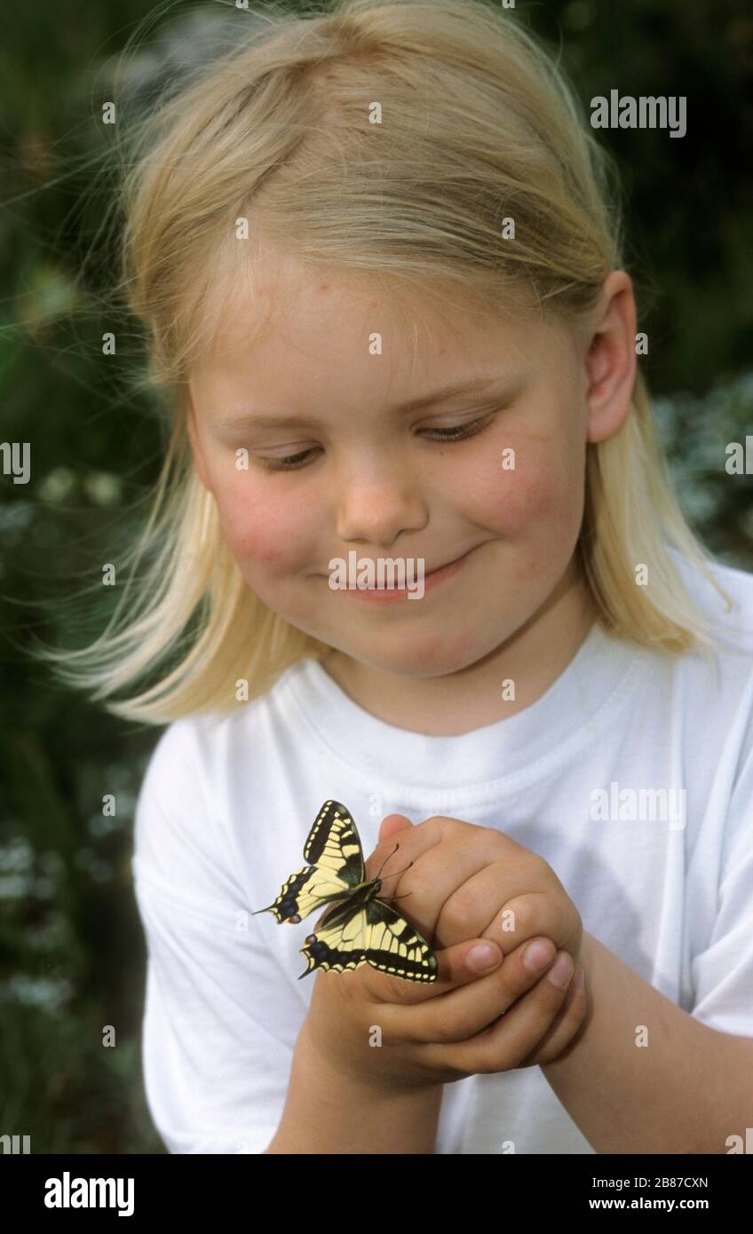 Kinder mit einem Schwalbenschwanz, Schwalben-Schwanz, Papilio machaon, Old World Swallowtail, commune jaune swallowtail, swallowtail Banque D'Images