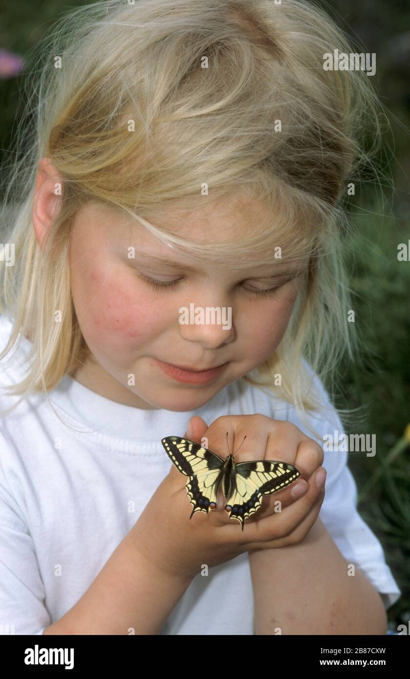 Kinder mit einem Schwalbenschwanz, Schwalben-Schwanz, Papilio machaon, Old World Swallowtail, commune jaune swallowtail, swallowtail Banque D'Images