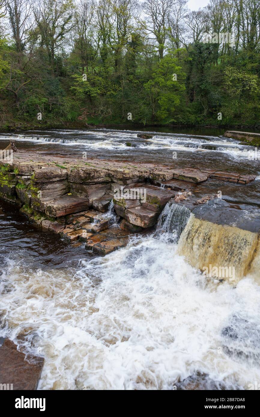 La rivière Swale à Richmond Falls, Yorkshire du Nord, Angleterre, Royaume-Uni Banque D'Images